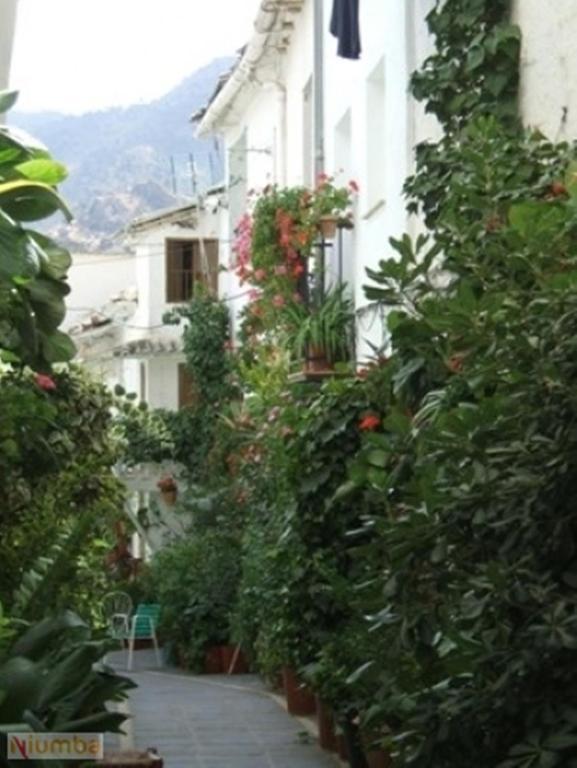 グエハル・シエラVivienda Turistica Arabelujアパートメント エクステリア 写真